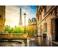 BELECO 2.1x1.5m Fabric Paris Eiffel Tower Backdrop Summer Street View European Famous Building French City Landscape Background Paris Theme Party Decor Wedding Photography Wallpaper Photo Studio Prop