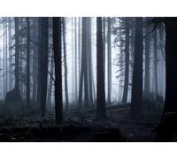 BELECO 2.1x1.5m Fabric Spooky Dark Forest Backdrop Haunted Foggy Woods m agic Grove Vam pire Evil Trees Background Halloween Forest Witch Wizard Sorcerer Ghost Party Decors Photo Studio Prop