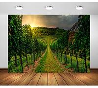BELECO 2.1x1.5m Fabric Vineyard Backdrops for Photography Countryside Grapevines Vineyard Sunset Landscape Winery Background Farm Grapes Harvest Wine Party Decor Portrait Photoshoot Studio Booth Props