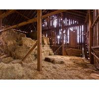 BELECO 2.1x1.5m Fabric Western Farm Barn Nativity Backdrop Interior Old Barn Manger Scene Straw Bales Haystack Country Farmhouse Xmas Party Nativity Kids Newborn Props