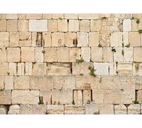 BELECO 2.1x1.5m Fabric Western Wall Backdrop - Jerusalem Wailing Wall, Old City of Israel - Judaism Spirituality Worship Religious Church Event Room Decor Photo Booth Studio Props