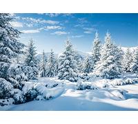 BELECO 2.1x1.5m Fabric Winter Snow Forest Backdrop White Xmas Trees Wintry Scene Alps Photography Background for Christmas New Year Event Party Decorations Banner Holiday Photo Background Photo Props