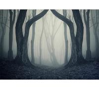 BELECO 2.5x1.8m Fabric Dark Misty Woods Backdrop Halloween Spooky Forest Backdrop for Photography Magic Grove Vampire Evil Trees Background Witch Wizard Sorcerer Ghost Theme Party Decoration Photo