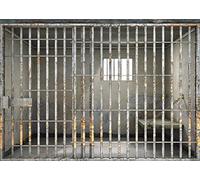 BELECO 2.5x1.8m Fabric Prison Bars Backdrop Jail Backdrop Jail Bars Murder Crime Theme Party Police Cell Mugshot Photography Background Birthday Party Decoration Kids Adults Video Studio Photo