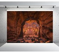 BELECO 2.5x1.8m Fantasy Mystic Underground Stone Temple Cave Backdrop, Dark Ancient Cave Scenic Wallpaper Background, Fantasy Theme Party Studio Photography Decor Props