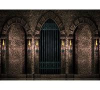 BELECO 2.7x1.8m Fabric Gothic Castle Photography Backdrop Ancient Stone Wall Arches Iron Gates Torches Prison Corridor Halloween Night Background Medieval Castle Birthday Party Decorations Photo