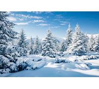 BELECO 2.7x1.8m Fabric Winter Snow Forest Backdrop White Xmas Trees Wintry Scene Alps Photography Background for Christmas New Year Event Party Decorations Banner Holiday Photo Background Photo Props