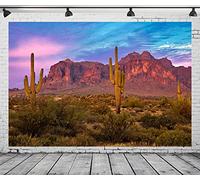 BELECO 3x2.5m Fabric Arizona Desert Backdrop for Photography Western Party Decor Blue Sky Sand Dunes Prickly Cactus Saguaro Wilderness Mountain Background Cowboys Children Adult Portrait Photo Shoot