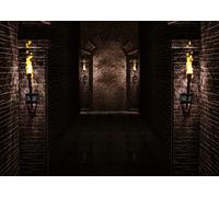 BELECO 3x2.5m Fabric Gothic Castle Backdrop Ancient Black Brick Stone Wall Arches Torches Dungeon Medieval Castle Scene Halloween Night Background Medieval Party Decorations Studio Booth Photo