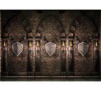 BELECO 3x2.5m Fabric Gothic Castle Backdrop Medieval Castle Ancient Brick Stone Wall Arches Swords Shield Torches Prison Dungeon Evil Background Medieval Party Decor