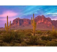 BELECO 3x2m Fabric Arizona Desert Backdrop for Photography Western Party Decor Blue Sky Sand Dunes Prickly Cactus Saguaro Wilderness Mountain Background Cowboys Children Adult Portrait Photo Shoot