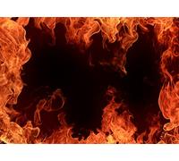 BELECO 3x2m Fabric Fire Backdrop for Photoshoot & Party Decorations - Roaring Fire Flames, Black Background