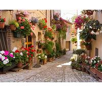BELECO 3x2m Fabric Italy Street Photography Backdrop Europe Village Town Landscape Buildings Colorful Flowers Photo Background Italian Themed Party Backdrop Holiday Travel Pictures Shooting