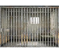 BELECO 3x2m Fabric Prison Bars Backdrop Jail Backdrop Jail Bars Murder Crime Theme Party Police Cell Mugshot Photography Background Birthday Party Decoration Kids Adults Video Studio Photo