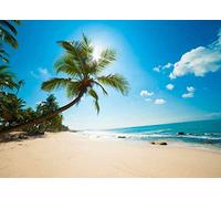 BELECO 3x2m Fabric Tropical Beach Backdrop Background Summer Seaside Sand Beach Palm Trees Ocean Island Hawaii Photography Backdrop Luau Party Decoration Birthday Wedding Photoshoot Photo