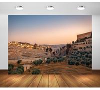 BELECO 3x2m Jerusalem Cemetery Sunset Scene Backdrop