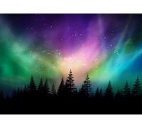 BELECO 4.6x2.5m Fabric Colorful Northern Lights Backdrop Canadian Forest Aurora Borealis Night Sky Background Pine Trees Forest Polar Lights Backdrop Home Decor Photo Booth Studio Props
