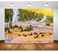 BELECO 5x3ft Fabric Yellowstone National Park Backdrop Lodgepole Pine Forest Trees,Steam, Herd of Bison is Grazing Sunset Background for Party Decorations Photoshoot Studio Props