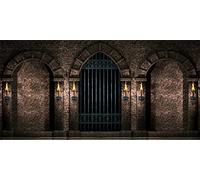 BELECO 6x3m Fabric Gothic Castle Photography Backdrop Ancient Stone Wall Arches Iron Gates Torches Prison Corridor Halloween Night Background Medieval Castle Birthday Party Decorations Photo