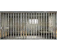 BELECO 6x3m Fabric Prison Bars Backdrop Jail Backdrop Jail Bars Murder Crime Theme Party Police Cell Mugshot Photography Background Birthday Party Decoration Kids Adults Video Studio Photo
