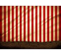 BELECO 7x5ft Fabric Circus Carnival Backdrop Red and White Stripes Circus Tent Backdrop Evil Clowns Circus Themed Party Decorations Banner Halloween Photoshoot Baby Kids Adults Portrait Photo Props