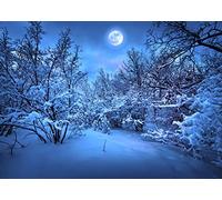 BELECO 7x5ft Fabric Snow Forest Backdrops for Photography Winter Moon Night Snow-Covered Fir Trees Frozen Forest Backdrop Winter Snow Field Scene Christmas Party Decoration Portrait Photo Props