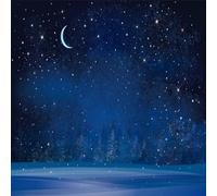 BELECO 8x8ft Fabric Winter Wonderland Night Snowfall Backdrop Blue Starry Sky Moon Stars Snowflakes Fir Trees Pine Forest Snow Scene Background Christmas New Year Party Decoration Photo Studio Props