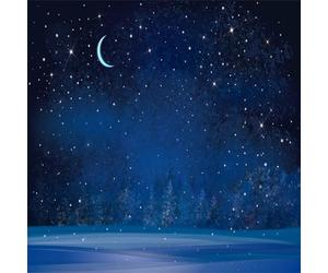 BELECO 8x8ft Fabric Winter Wonderland Night Snowfall Backdrop Blue Starry Sky Moon Stars Snowflakes Fir Trees Pine Forest Snow Scene Background Christmas New Year Party Decoration Photo Studio Props