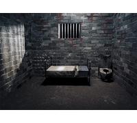 BELECO Prison Backdrop Fabric 2.5x1.8m Dark Jail Cell Photography Backdrop Forbidden Room with Bed Bloodstains for Prison Halloween Party Decorations Murder Mystery Police Cell Photo Shoot Props