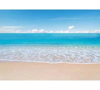 BELECO Tropical Beach Ocean Waves Backdrop 7x5ft Fabric Seaside Scenery Sand Beach Backdrop Luau Party Hawaiian Theme Photography Background Birthday Party Decor Wedding Photoshoot Studio Props