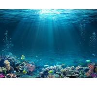 BELECO Underwater World Backdrop 2.1x1.5m Fabric Undersea Backdrop for Photography Under The Sea Tropical Fish and Corral Deep Sea Sunlight Seabed Background Undersea Party Decor Photo Studio