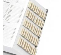 Belegao 75PCS Bible Tabs with Position Guide for Women Men, Laminated Bible Index Gold Print Studying Stickers Easy to Read Labels (39 OT, 27 NT, 9 Blank) Water-Resistant Scripture Markers(Beige)