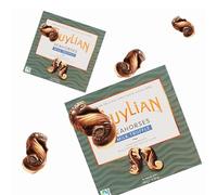 Belgian Chocolate Seashells with Hazelnut Praliné Filling 2 Pack Bundle - Contains 2 x 150g Guylian Original Chocolates