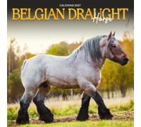 Belgian Draught Horses Calendar 2027
