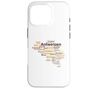 Belgian Flag, Belgium Outline, Belgium Travel, Belgium Flag Case for iPhone 16 Pro