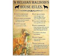 Belgian Malinois Fun Jigsaw Puzzles for Home Decor Decoration for Family Party Holiday_500pcs