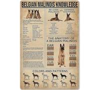 Belgian Malinois Knowledge Metal Sign Colors And Patterns School Garage bar Bathroom Room Cafe Men Cave Cafe Bar Tin Plaque Art Wall Decoration Funny Gifts Tin Sign 6 * 8 in