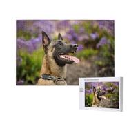 Belgian Malinois Pets Dogs Belgian Malinois,1000 Pieces Wooden Jigsaw Family Game Jigsaw Puzzles for Adults Teens Home Decor