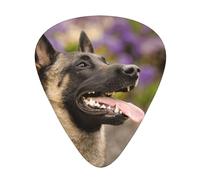 Belgian Malinois Pets Dogs Belgian Malinois,12 Pcs Guitar Pick,3 Different Thickness Plectrums for Acoustic Guitar Bass Ukulele (0.46mm 0.96mm 0.71mm)