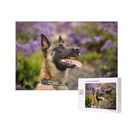 Belgian Malinois Pets Dogs Belgian Malinois,300 Pieces Wooden Jigsaw Family Game Jigsaw Puzzles for Adults Teens Home Decor