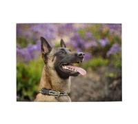 Belgian Malinois Pets Dogs Belgian Malinois,500 Pieces Puzzles for Adults-Wooden Jigsaw Puzzle for Adults Elderly