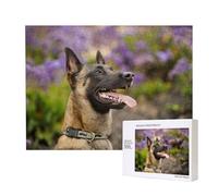 Belgian Malinois Pets Dogs Belgian Malinois,500 Pieces Wooden Jigsaw Family Game Jigsaw Puzzles for Adults Teens Home Decor