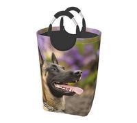 Belgian Malinois Pets Dogs Belgian Malinois, Laundry Hamper, Collapsible Laundry Basket Large Durable Storage Bin with Handles 50L