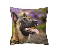 Belgian Malinois Pets Dogs Belgian Malinois, Pillow Cover Decorative Throw Pillowcase Soft Polyester Cushion Covers 45x45 cm