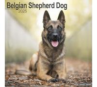 Belgian Shepherd Dog Calendar 2025 Square Dog Breed Wall Calendar - 16 Month 97