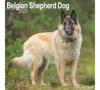 Belgian Shepherd Dog