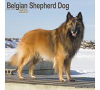 Belgian Shepherd Dog Calendar 2023 | Square Dog Breed Wall Calendar - 16 Month