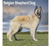 Belgian Shepherd Dog Calendar 2024 | Square Dog Breed Wall Calendar - 16 Month