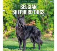 Belgian Shepherd Dogs - 2026 Square Wall Calendar - by Red Robin Publishing