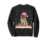 Belgian Shepherd Dogs Tree Light Christmas Sweater Pet Dog Sweatshirt
